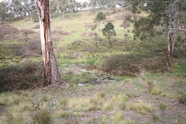Seventh view of Homely rural property listing, 2315 Wisemans Creek Road, Oberon NSW 2787