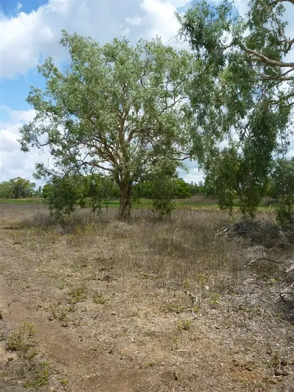 Seventh view of Homely rural property listing, 196 Edmistone Road, Pink Lily QLD 4702