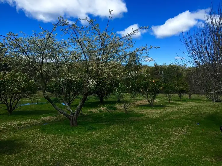 Fifth view of Homely rural property listing, 1175 Bugong Road, Budgong NSW 2577