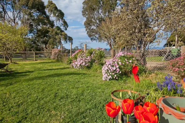 Seventh view of Homely house listing, 238-248 Pioneer Road, Yarrambat VIC 3091