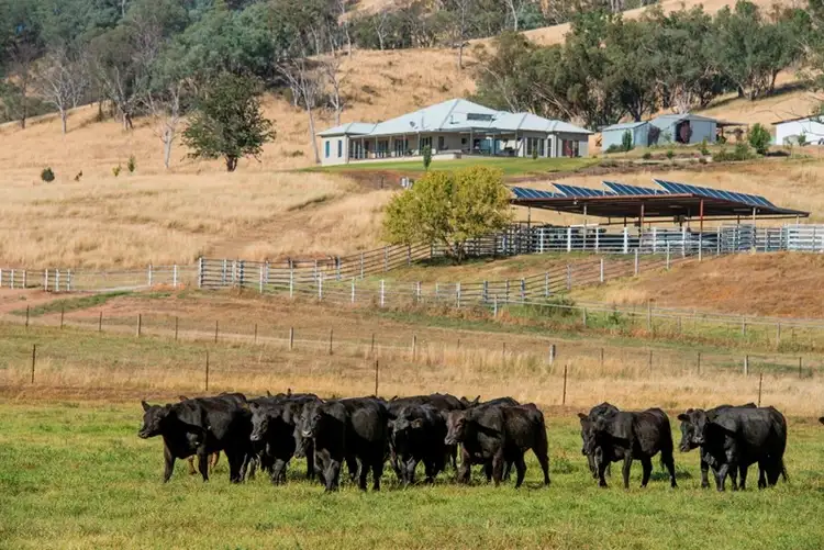 Fifth view of Homely rural property listing, "Hillview" 620 Woolomin Road, Tamworth NSW 2340