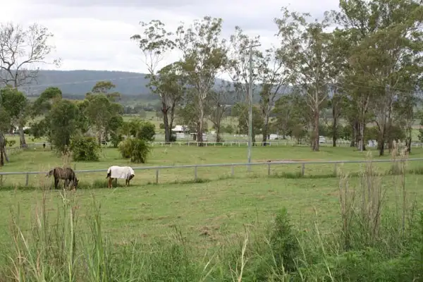 Sixth view of Homely rural property listing, 1040 Kerry Road, Kerry QLD 4285
