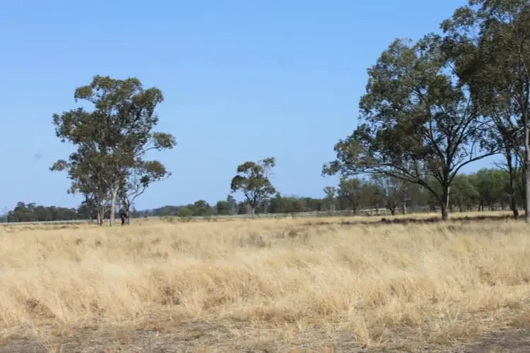 Sixth view of Homely rural property listing, . Millmerran-Cecil Plains Road, Cecil Plains QLD 4407