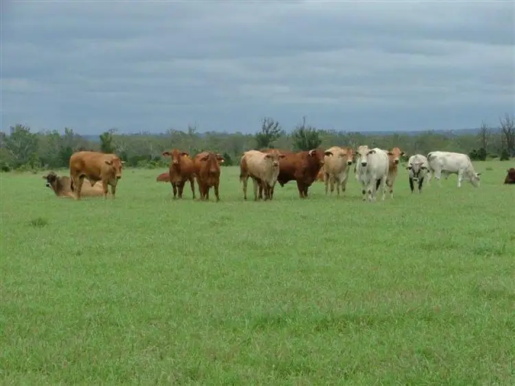 Sixth view of Homely rural property listing, 1776 Duaringa Biloela Road, Duaringa QLD 4712