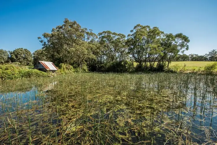 Third view of Homely rural property listing, 138 Hallards Road, Central Mangrove NSW 2250