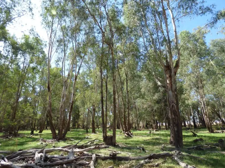 Fourth view of Homely land listing, Address available on request