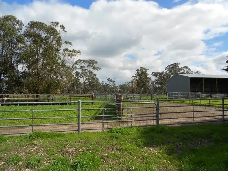 Sixth view of Homely rural property listing, 2397 Naracoorte Road, Bordertown SA 5268