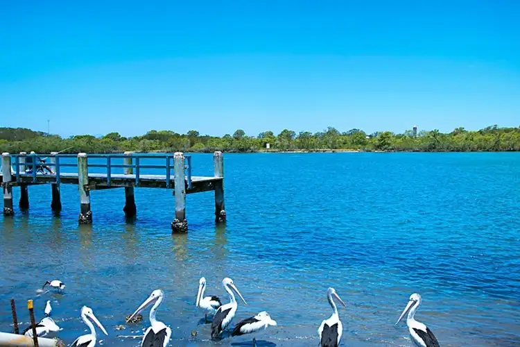 Third view of Homely other listing, 59 Kennedy Drive, Tweed Heads NSW 2485