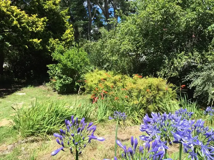 Sixth view of Homely land listing, 15 Ada Road, Blackheath NSW 2785