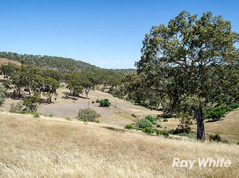 Main view of Homely rural property listing, . Lafferty Road, Clarendon SA 5157