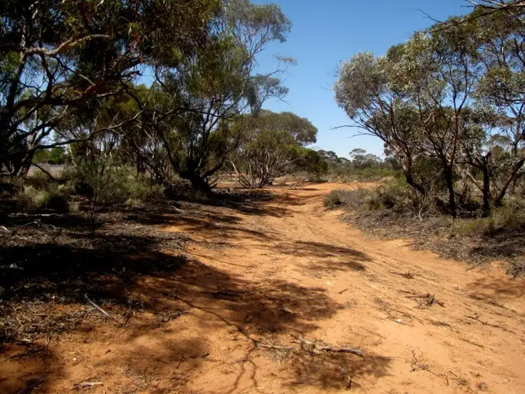Main view of Homely land listing, Section 559 Sturt Highway, Monash SA 5342