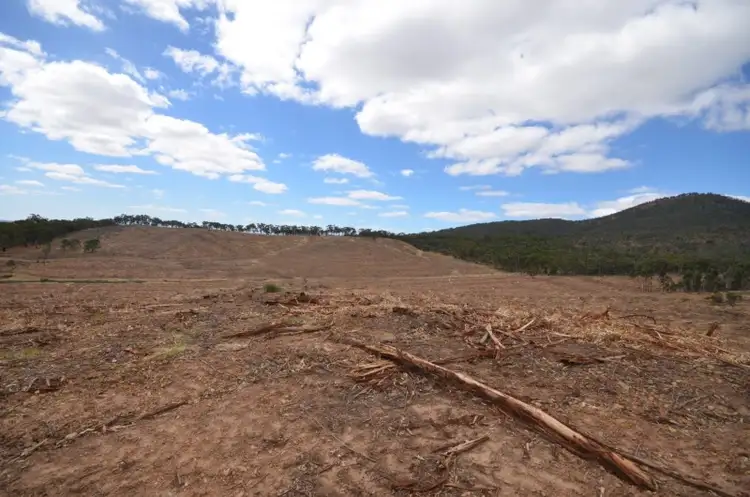 Fifth view of Homely rural property listing, "Padgett" Iron Pot Creek Road, Warrak VIC 3377