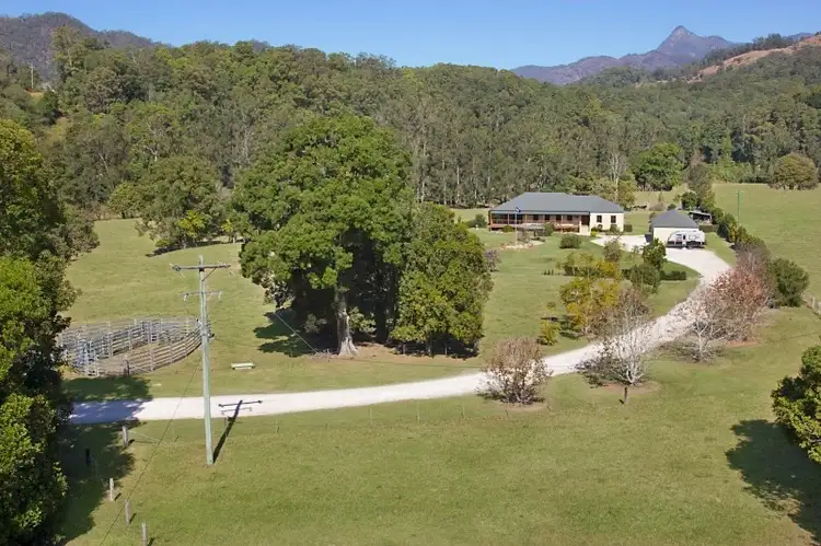 Fourth view of Homely rural property listing, 397 Chilcotts Road, Crystal Creek NSW 2484