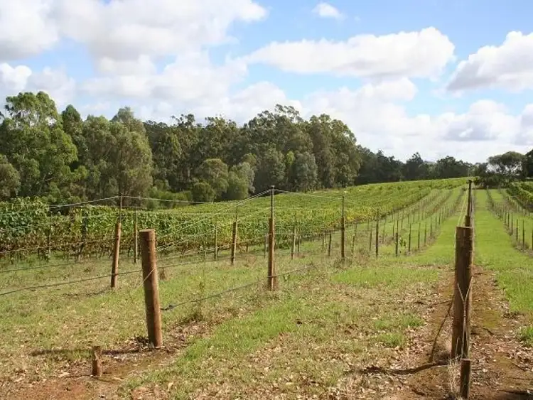 Sixth view of Homely rural property listing, 79 Hamilton Road, Denmark WA 6333