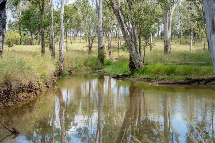 . Dandaloo, Durong QLD 4610