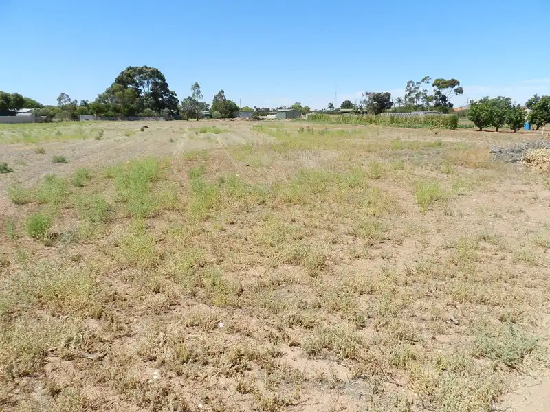 Main view of Homely land listing, 12 Rupert Court, Lyrup SA 5343