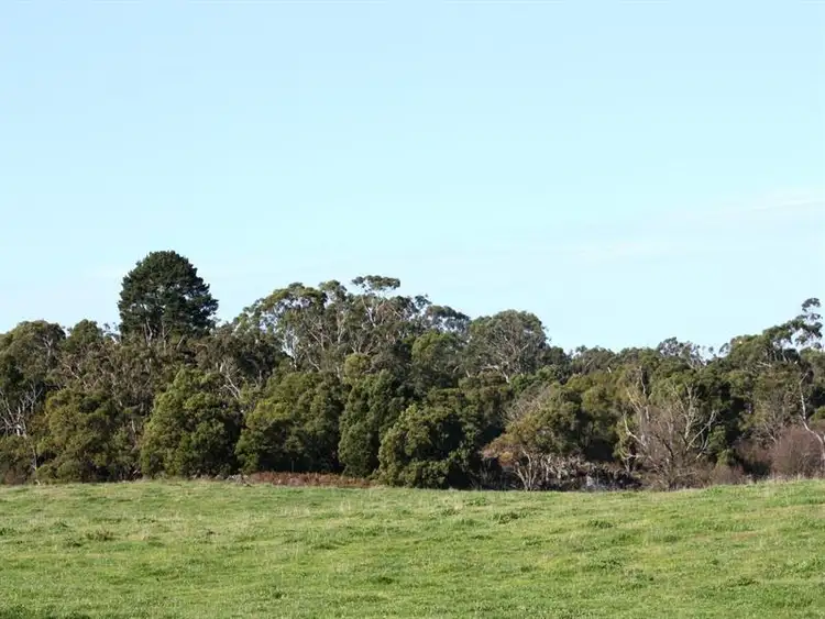 Second view of Homely rural property listing, 73 Hinkleys Road, Tesbury VIC 3260