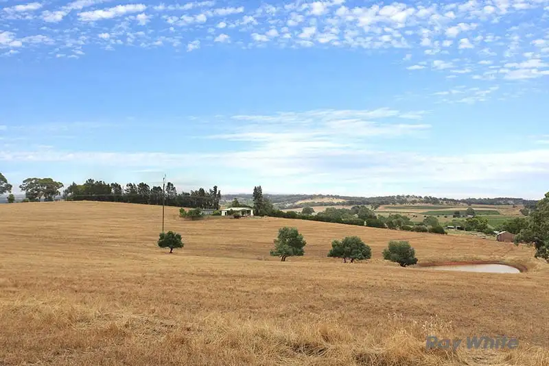 Main view of Homely house listing, 10 Noble Road, Clare SA 5453