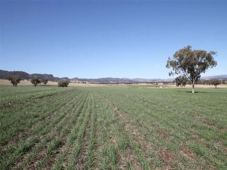 Second view of Homely rural property listing, 276 Spains Lane, Quirindi NSW 2343