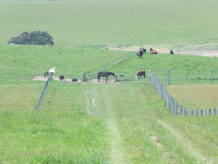 Fifth view of Homely rural property listing, 1233 Triangle Flat Road, Bathurst NSW 2795