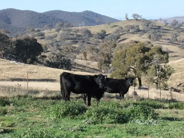 Second view of Homely rural property listing, Address available on request