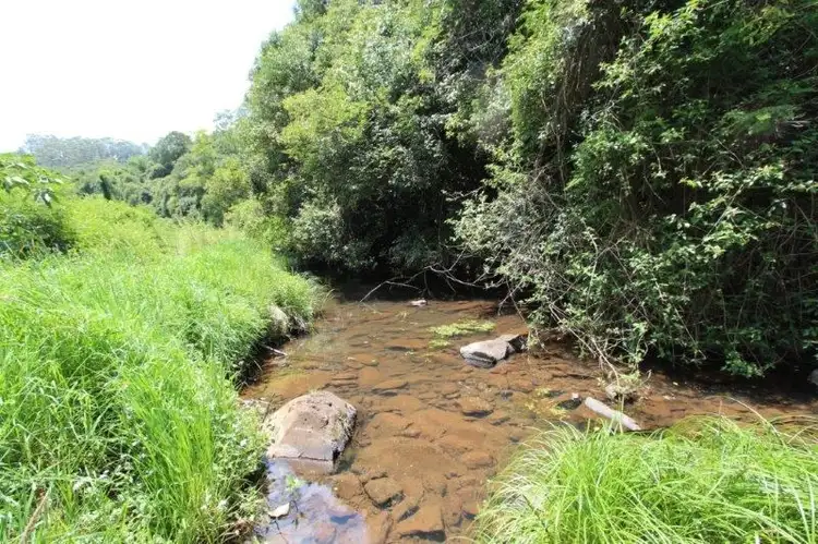 Seventh view of Homely rural property listing, 161 Fletcher Road, Dunoon NSW 2480