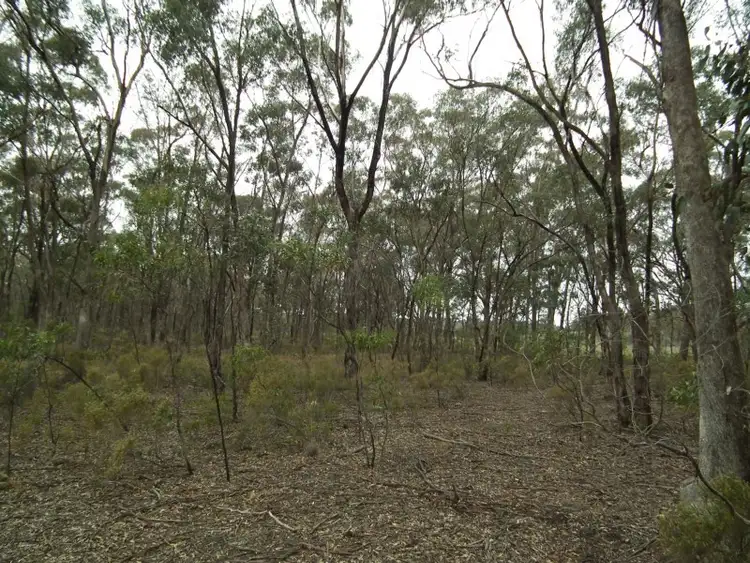 Third view of Homely rural property listing, Lot 1 Spring Lane, Bailieston VIC 3608