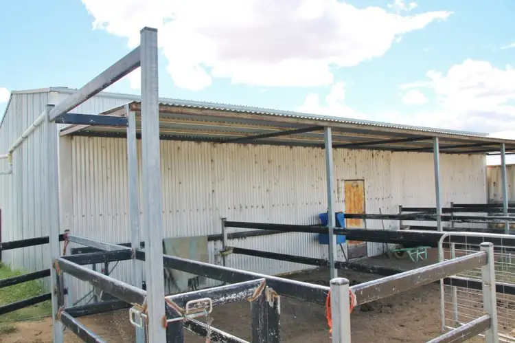 Fifth view of Homely land listing, 161 Bonnington Road Kingsvale via, Young NSW 2594