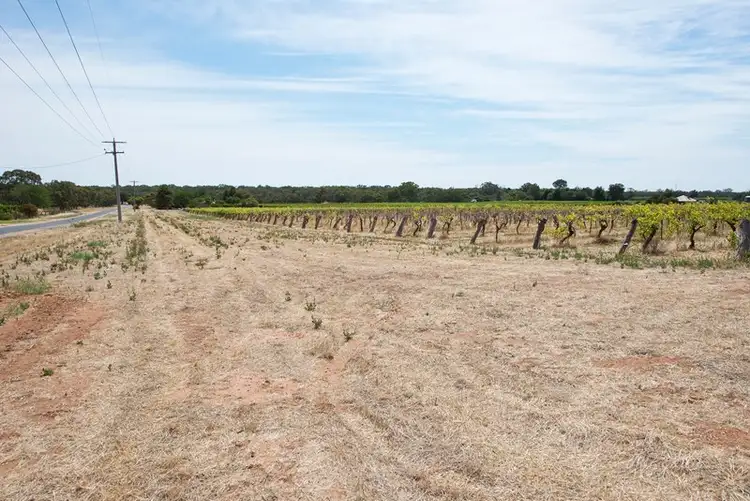 Seventh view of Homely rural property listing, 19 McLean Lane, Vinifera VIC 3591