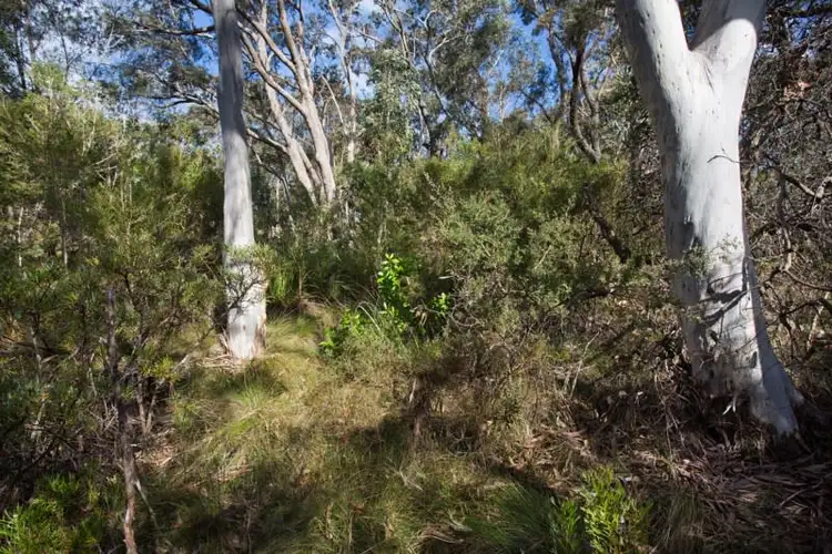 Third view of Homely land listing, Block 7 - Lot 174 and 124 DP 16449 - 38 Godson Avenue, Blackheath NSW 2785