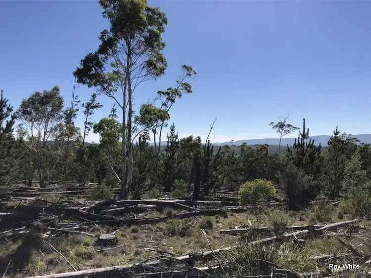 Sixth view of Homely rural property listing, Lot 94 Back Creek Road, Braidwood NSW 2622