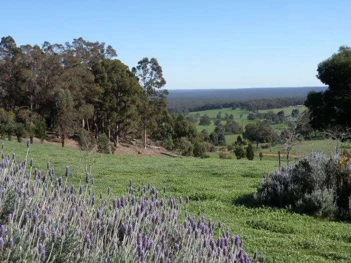 Third view of Homely rural property listing, 3 Halleys Road, Nannup WA 6275