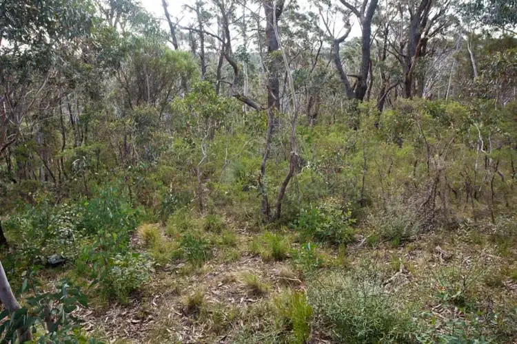 Second view of Homely land listing, Block 10 - Lot 171 and 127 DP 16449 - 44 Godson Avenue, Blackheath NSW 2785