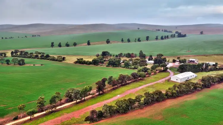 Main view of Homely rural property listing, "Newikie" Old Belcunda Road, Mount Bryan SA 5418