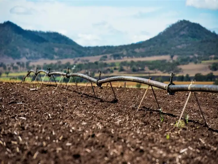 Third view of Homely rural property listing, 157 Forest Springs Goomburra Road, Goomburra QLD 4362