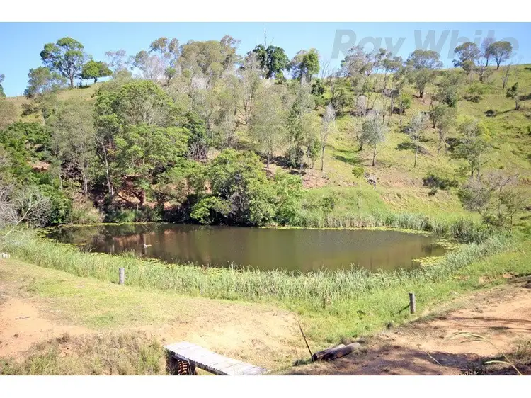 Third view of Homely house listing, 263 Basin Road, Wamuran Basin QLD 4512