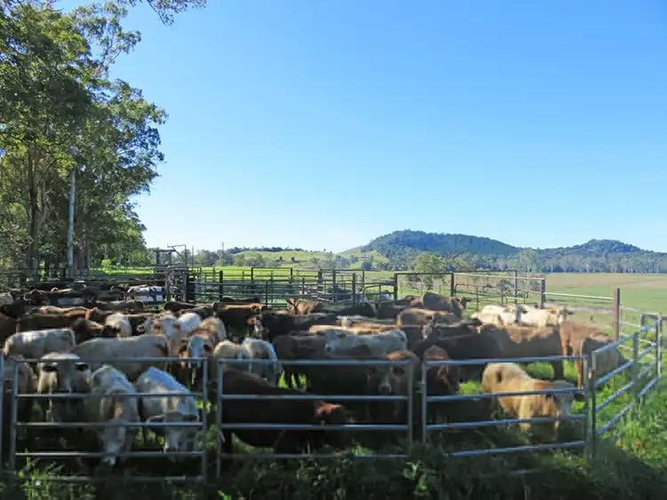 Fifth view of Homely rural property listing, Address available on request