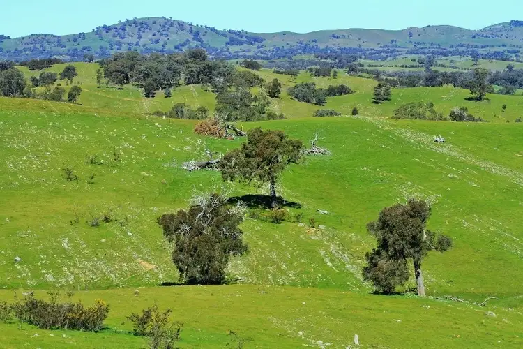 Fifth view of Homely land listing, Lot 4 Red Gate Lane, Heathcote VIC 3523