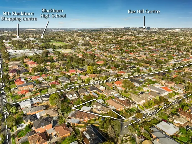 Main view of Homely house listing, 16 Gerbera Court, Blackburn North VIC 3130
