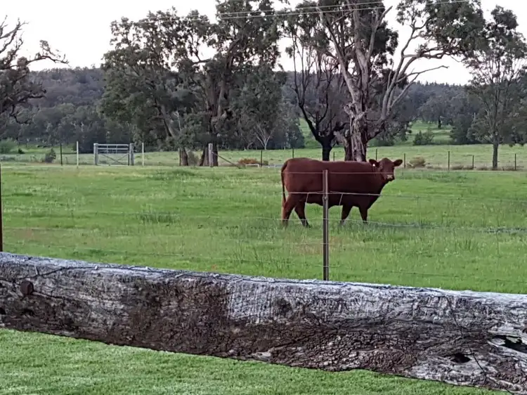 Fourth view of Homely rural property listing, 568 Tamaroo River Road, Coonabarabran NSW 2357