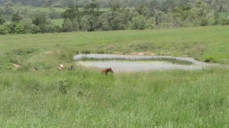 Fifth view of Homely rural property listing, 940 Mt Ossa-Seaforth Road, Seaforth QLD 4741