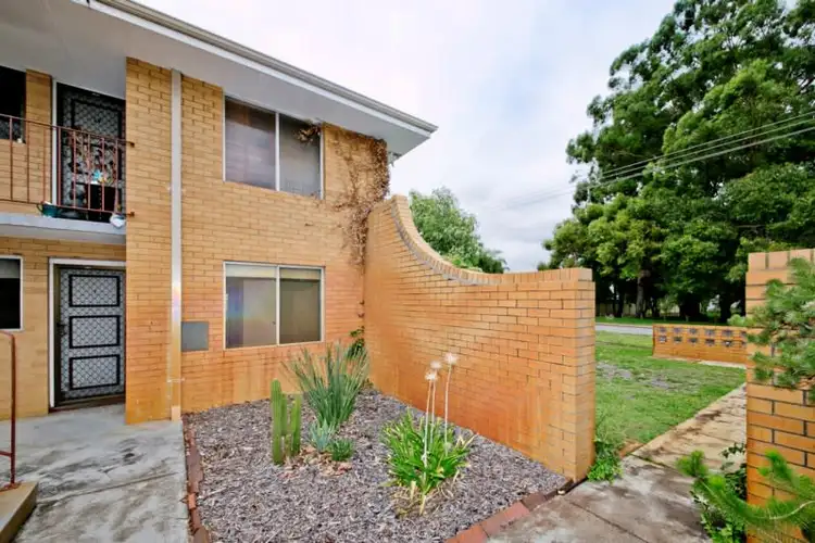 Main view of Homely house listing, 1/81 Shakespeare Avenue, Yokine WA 6060