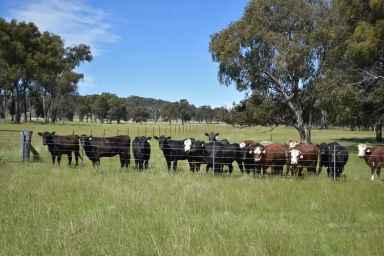 Third view of Homely rural property listing, Glenfield Nth 305 Loxton Road, Wandsworth NSW 2365