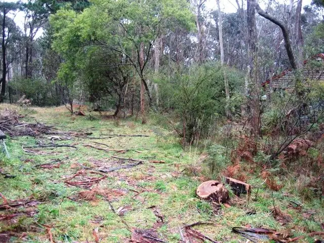 Main view of Homely land listing, 10 Fairlop Road, Medlow Bath NSW 2780