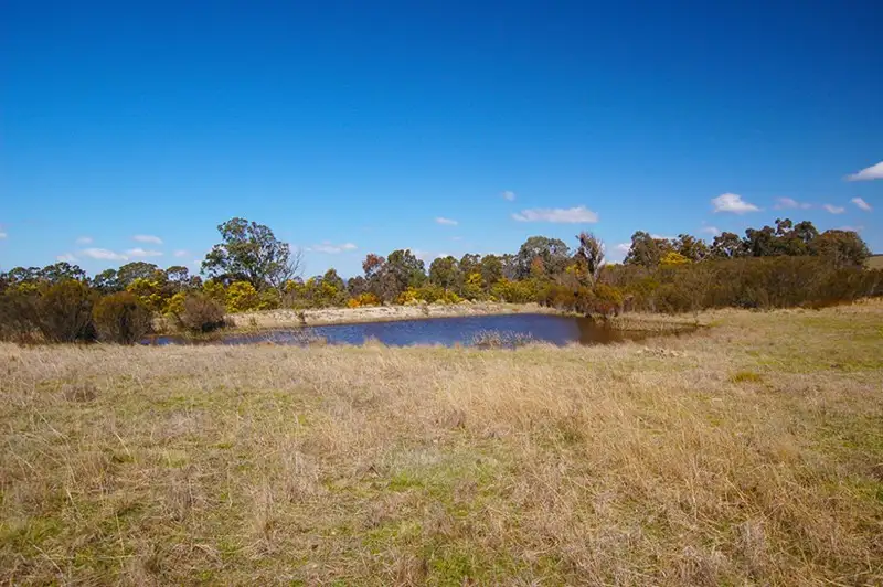 Main view of Homely rural property listing, 8246 Kings Highway, Manar NSW 2622