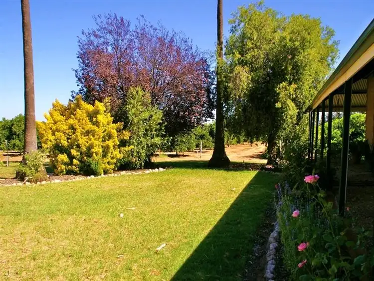 Third view of Homely house listing, 164 Tarcoola Street, Renmark SA 5341