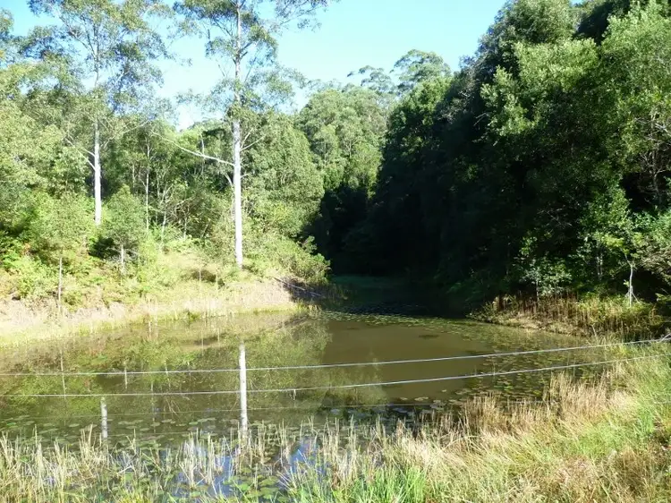 383 Zara Road, Tyalgum NSW 2484