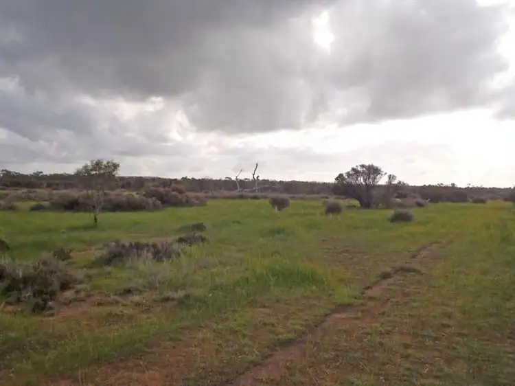 Main view of Homely rural property listing, L2559 Great Southern Highway, Piesseville WA 6315