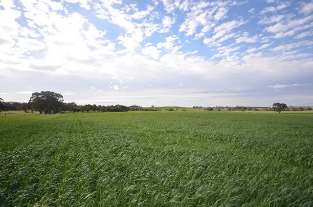 Fifth view of Homely rural property listing, Lot 3-Ashmore Smith Road, Mintaro SA 5415