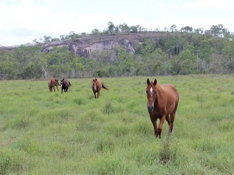 Main view of Homely rural property listing, Address available on request